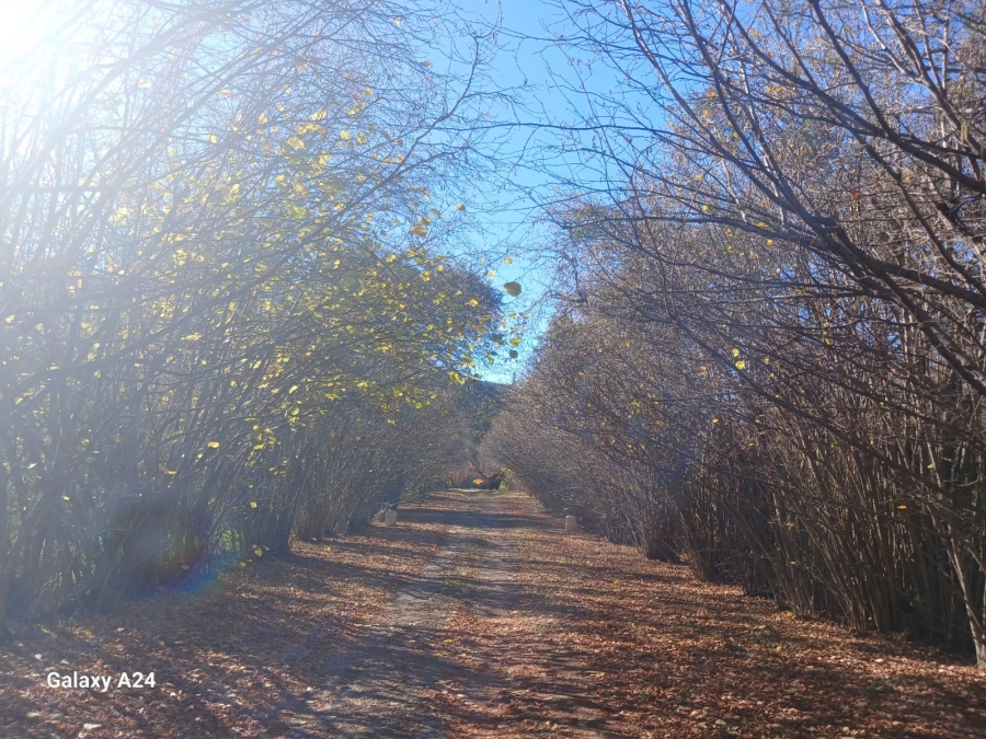 Commercial Property for Sale in Hogsback Eastern Cape